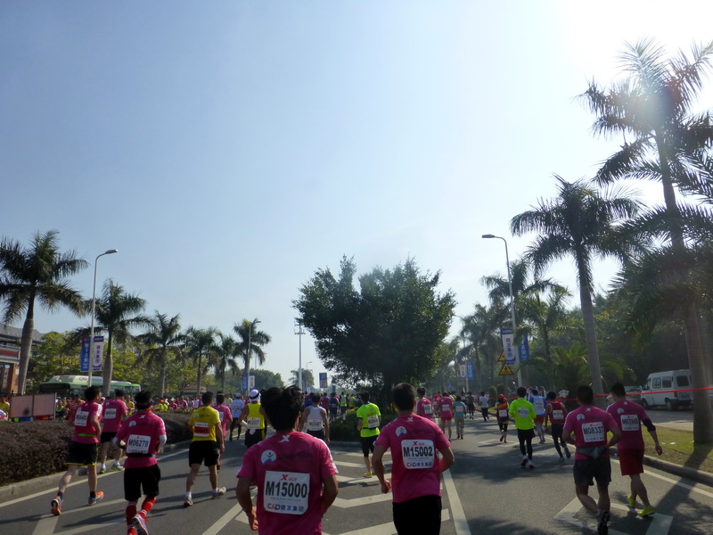 p1310731.jpg