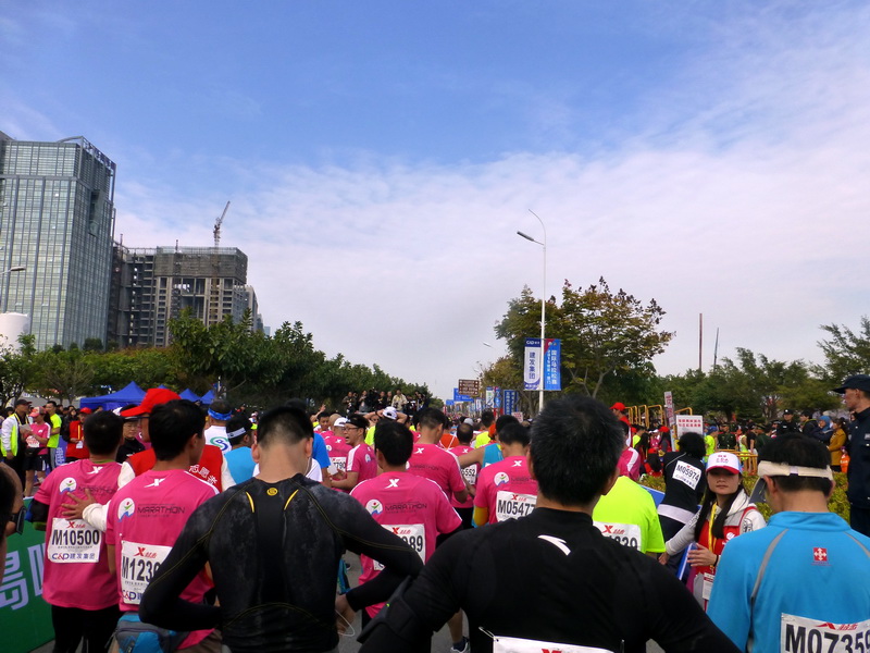 p1310775.jpg