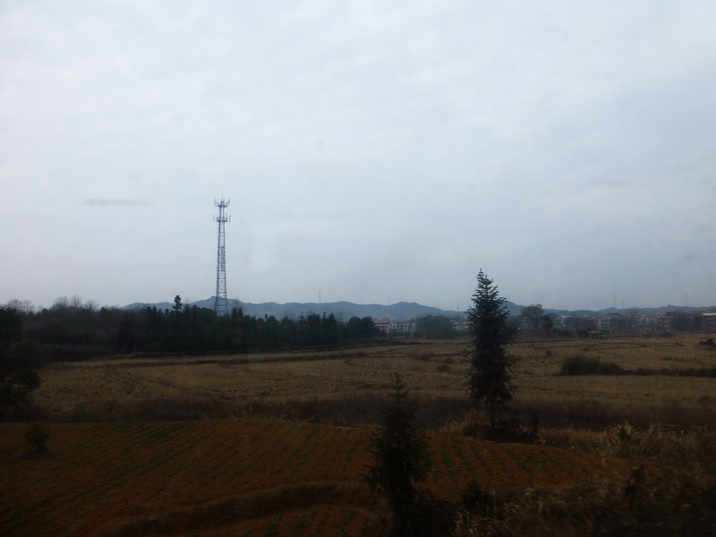 p1310836.jpg