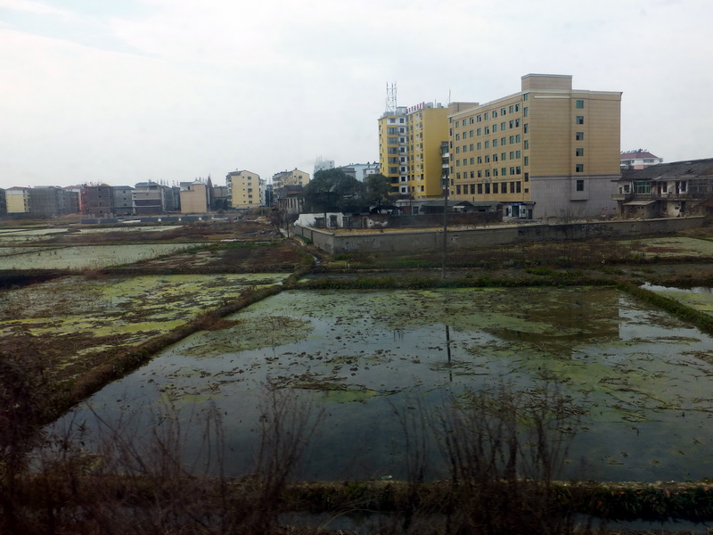 p1310839.jpg