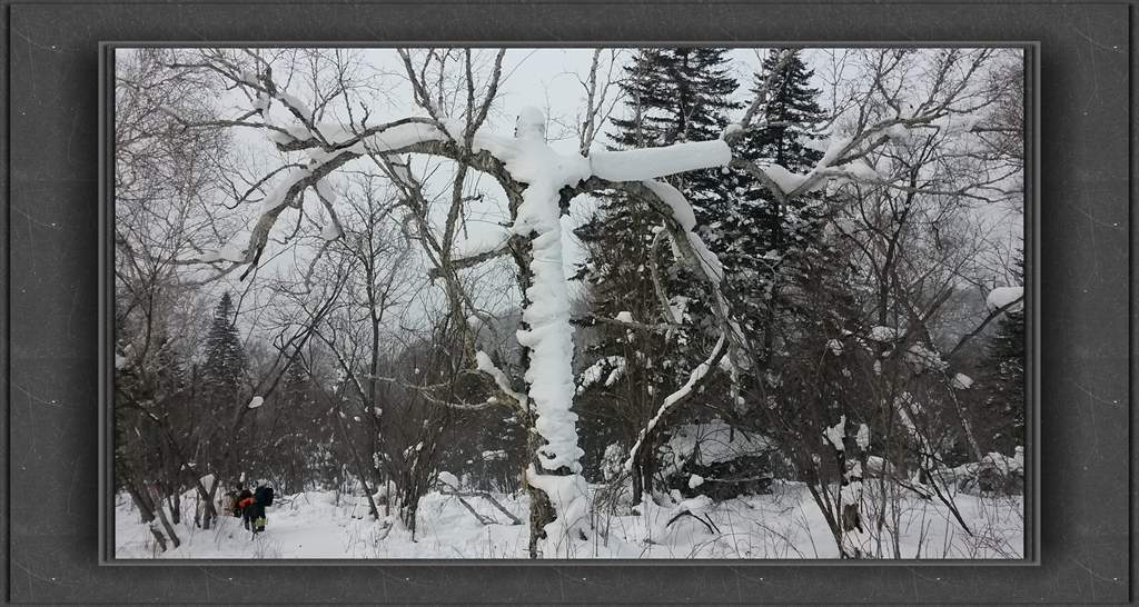 20150109_114657_.jpg