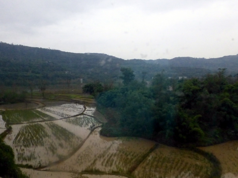 p1280138.jpg