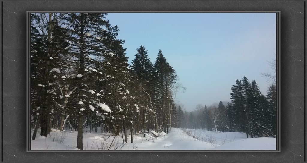 20150109_142655_.jpg