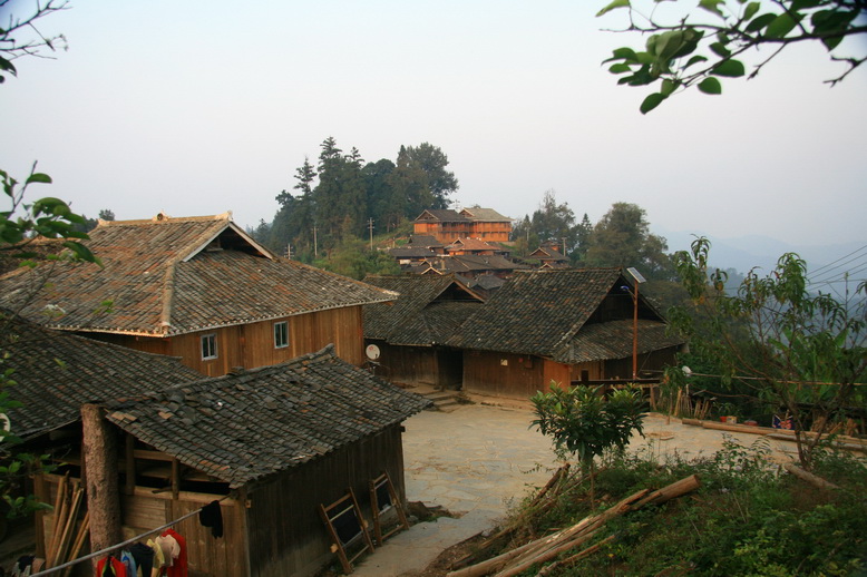 306.jpg