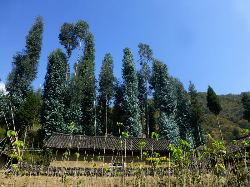 p1280202.jpg