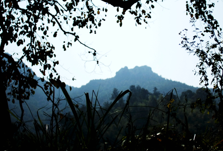 _mg_7644_.jpg
