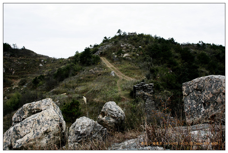 _mg_7887_.jpg