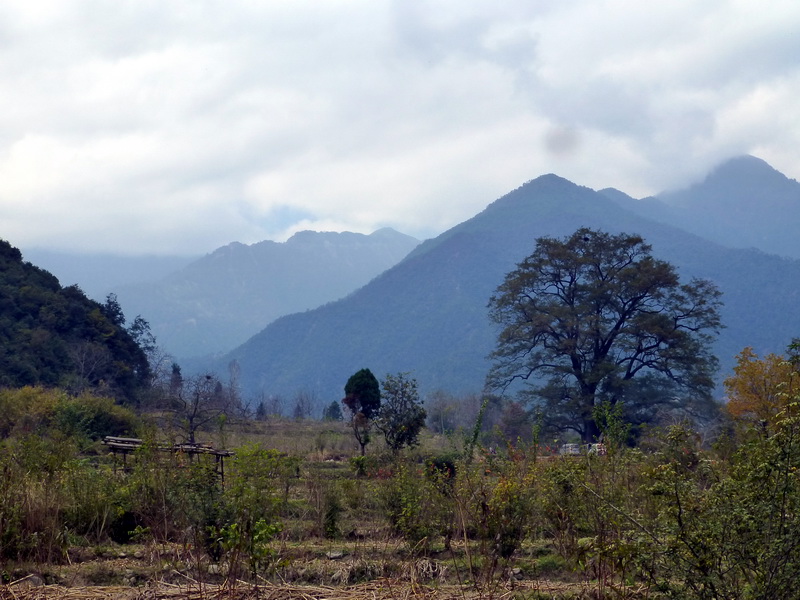 p1280230.jpg
