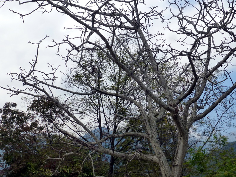p1280231.jpg