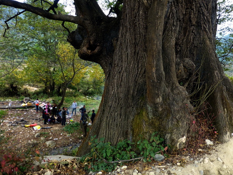 p1280233.jpg