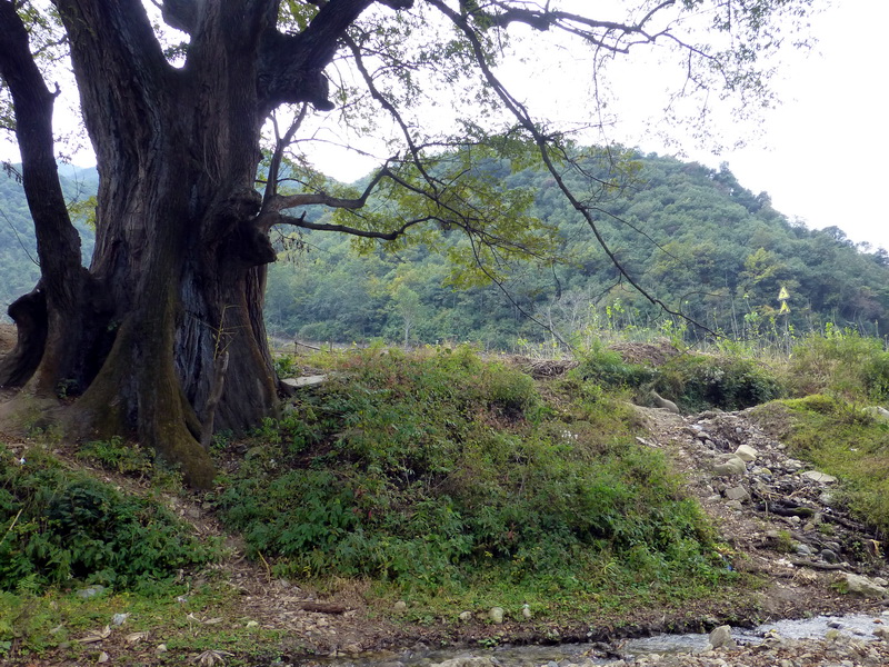 p1280234.jpg