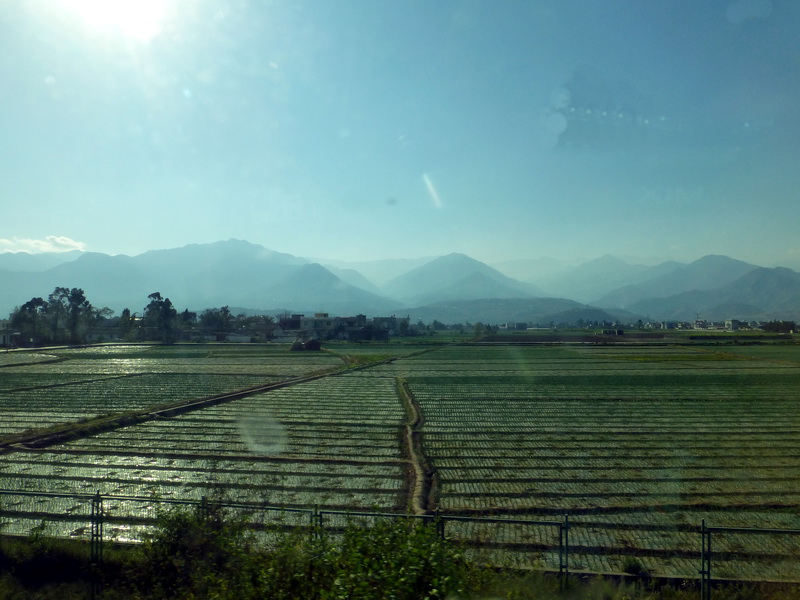 p1280239.jpg
