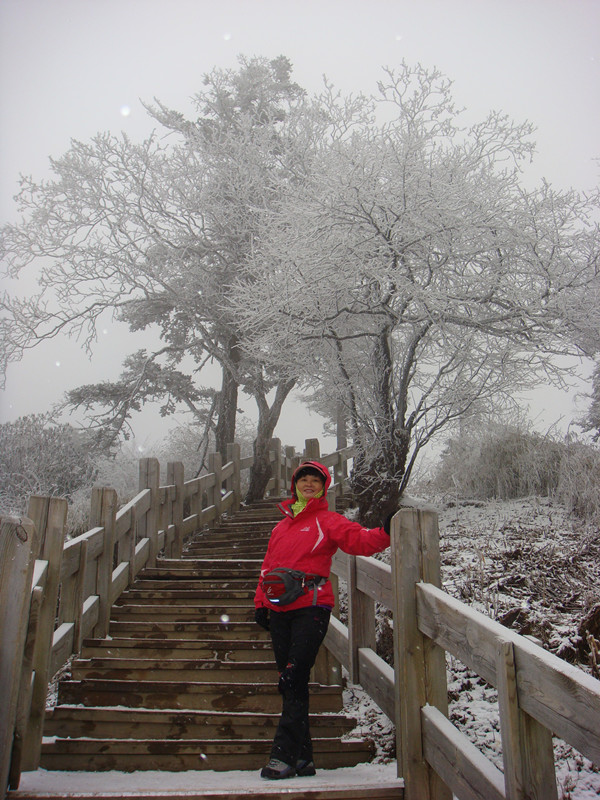dsc00829_.jpg