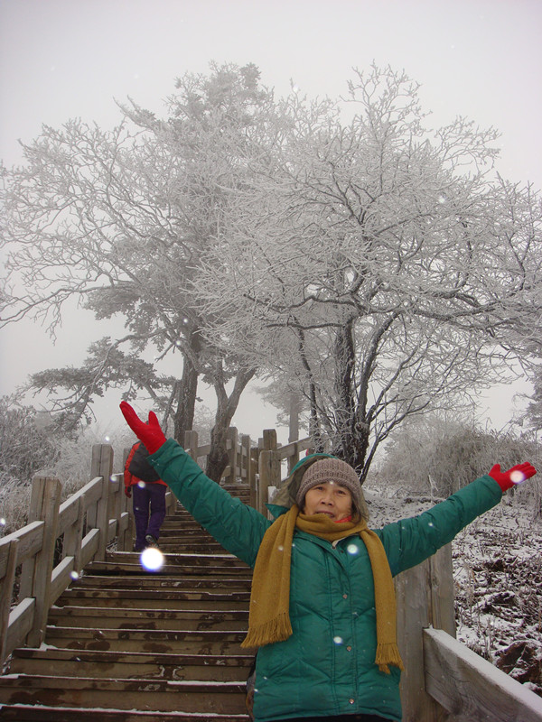 dsc00832_.jpg