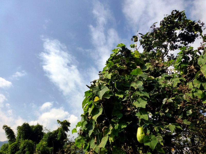 p1280210.jpg