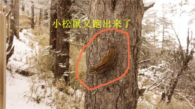 dsc06907_.jpg