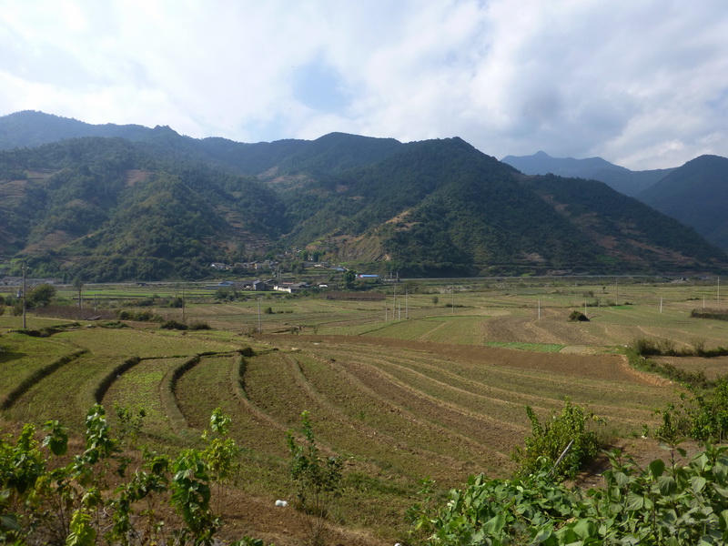 p1280218.jpg