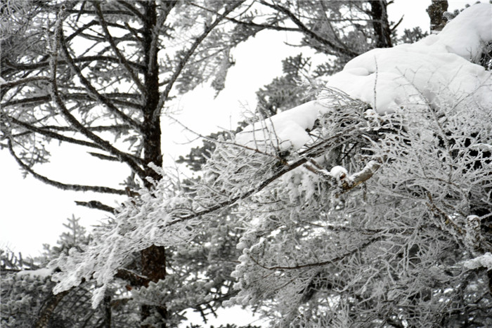 dsc_5235_.jpg