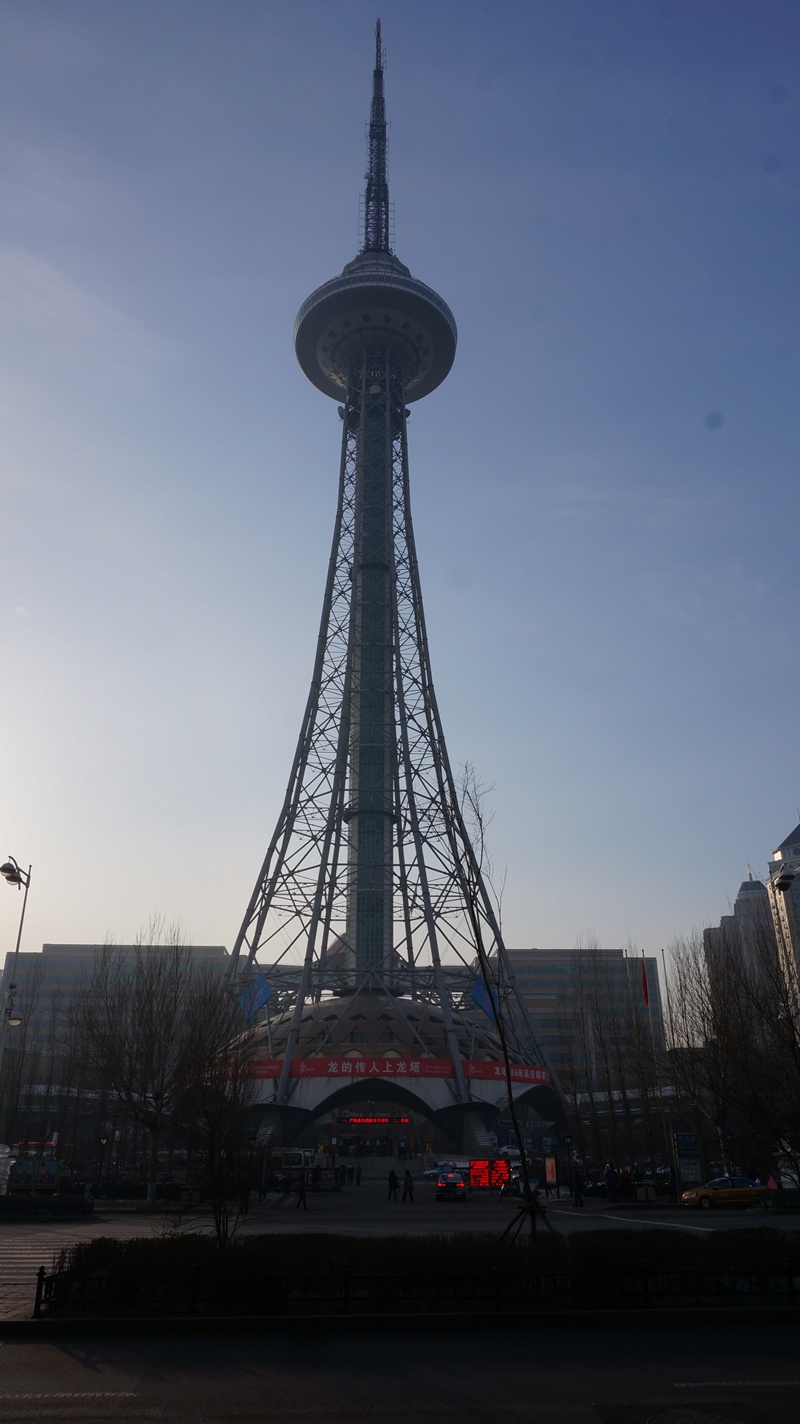 dsc01795.jpg