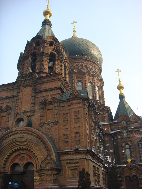 dsc01050_.jpg