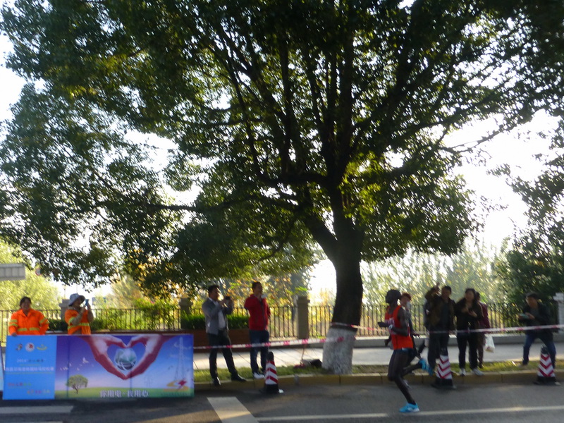p1280369.jpg