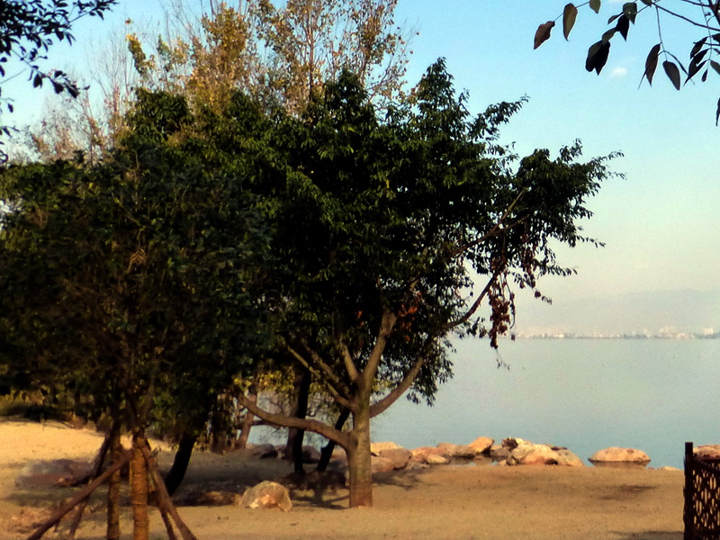 p1280411.jpg