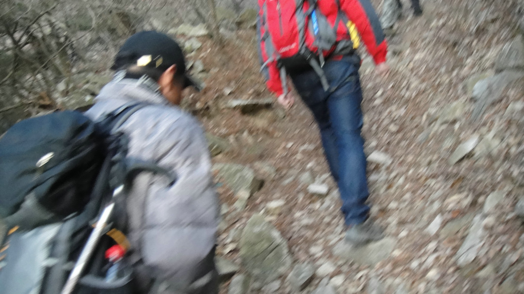 dsc02419.jpg