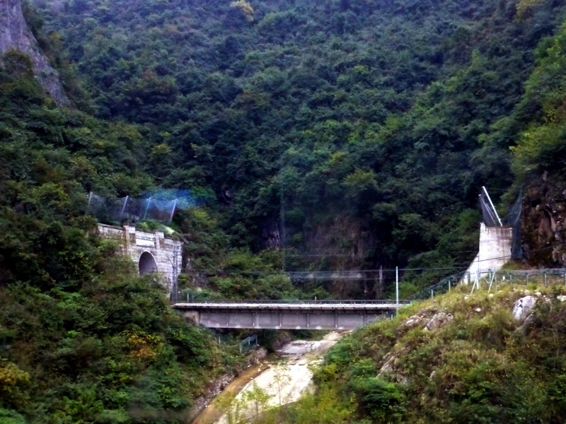 p1280567.jpg