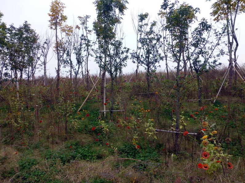 p1280653.jpg