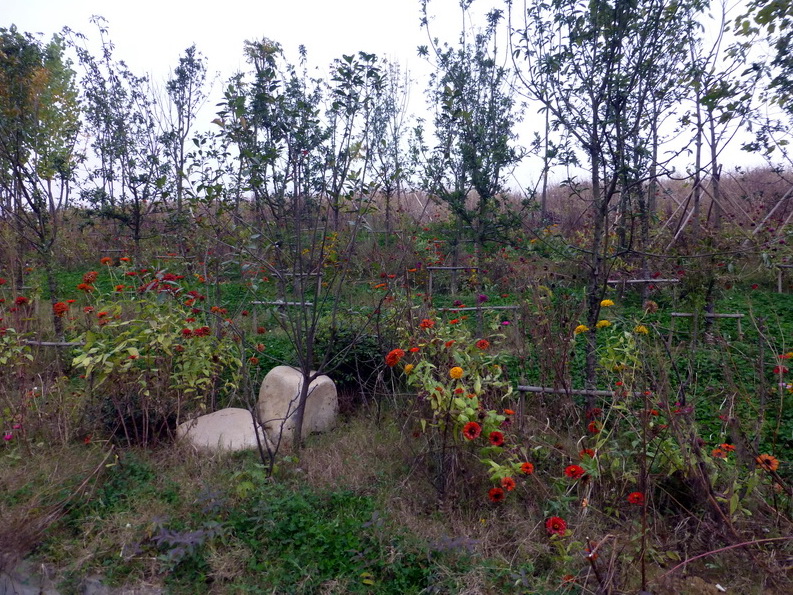 p1280654.jpg