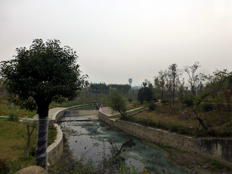p1280655.jpg