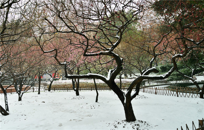 dsc_6033_.jpg