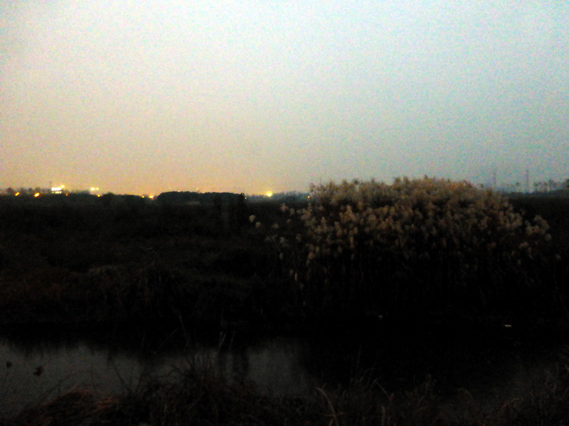 p1280704.jpg
