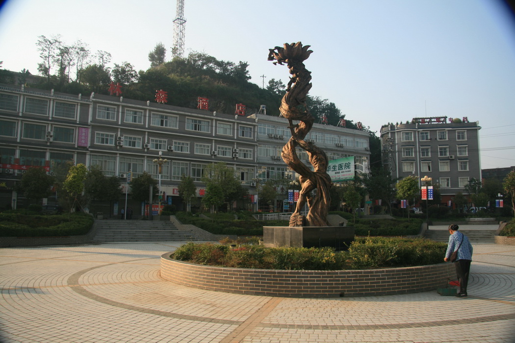 170.jpg