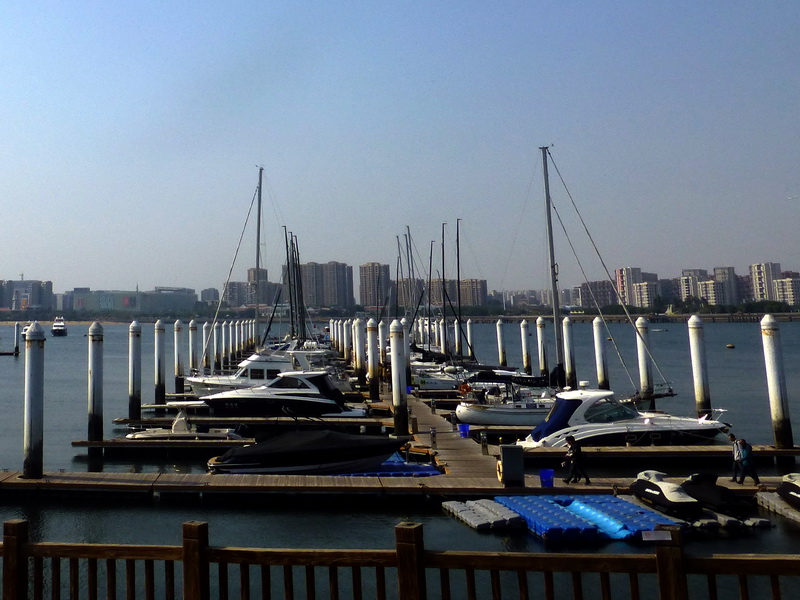p1310521.jpg