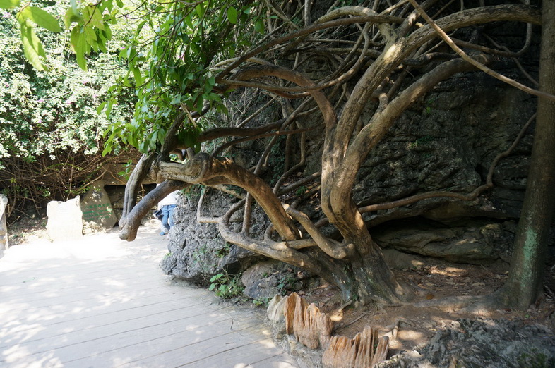dsc04304.jpg