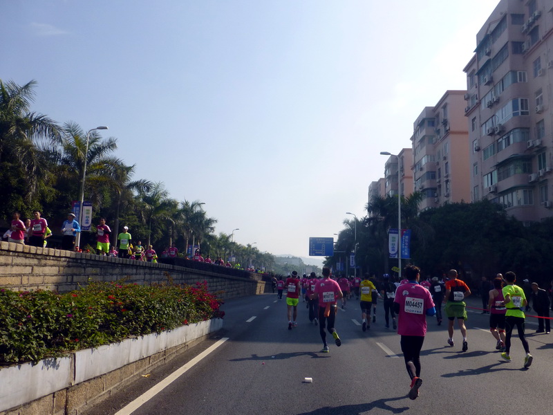 p1310727.jpg