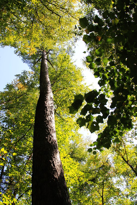 _mg_6560.jpg