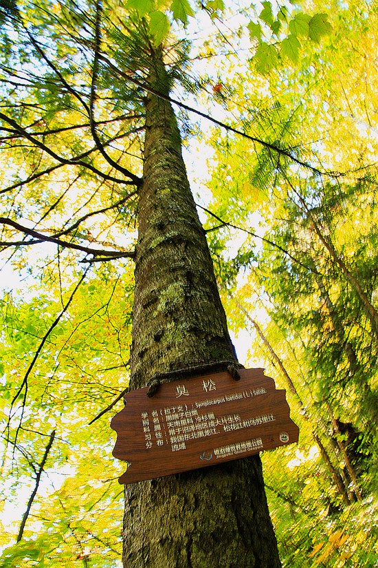 _mg_6566.jpg
