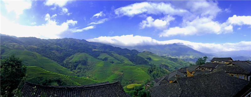 梯田全景图.jpg
