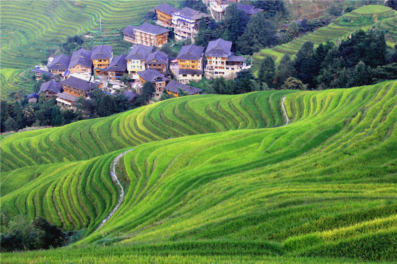 层层梯田.jpg
