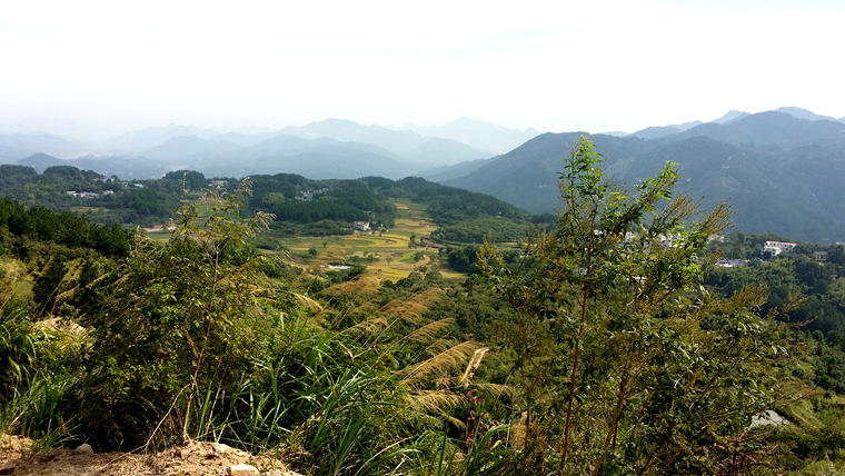 20150913_095631_.jpg