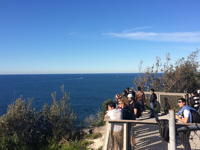 sydney  photo 2183.jpg