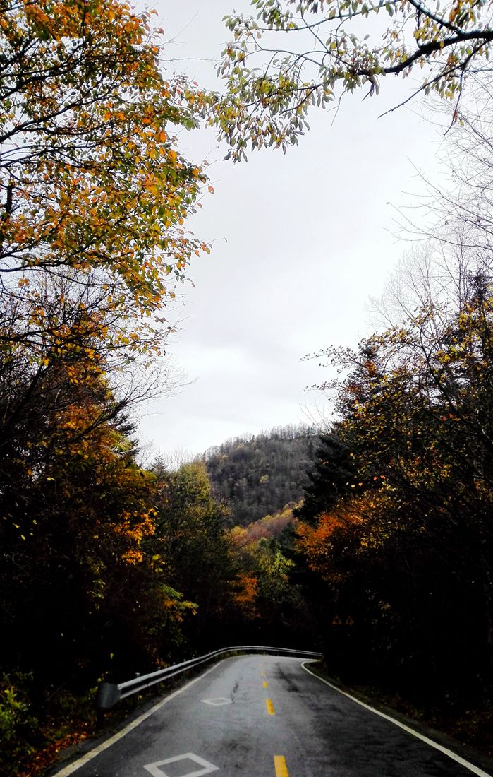 img_20151018_095907.jpg