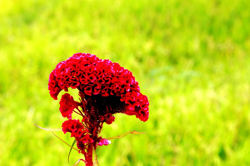 img_7806__.jpg