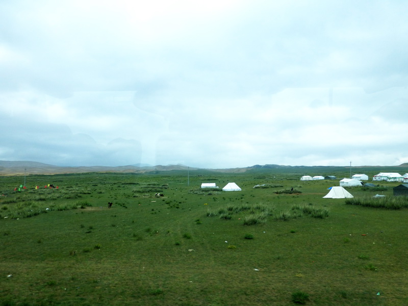 p1240664.jpg