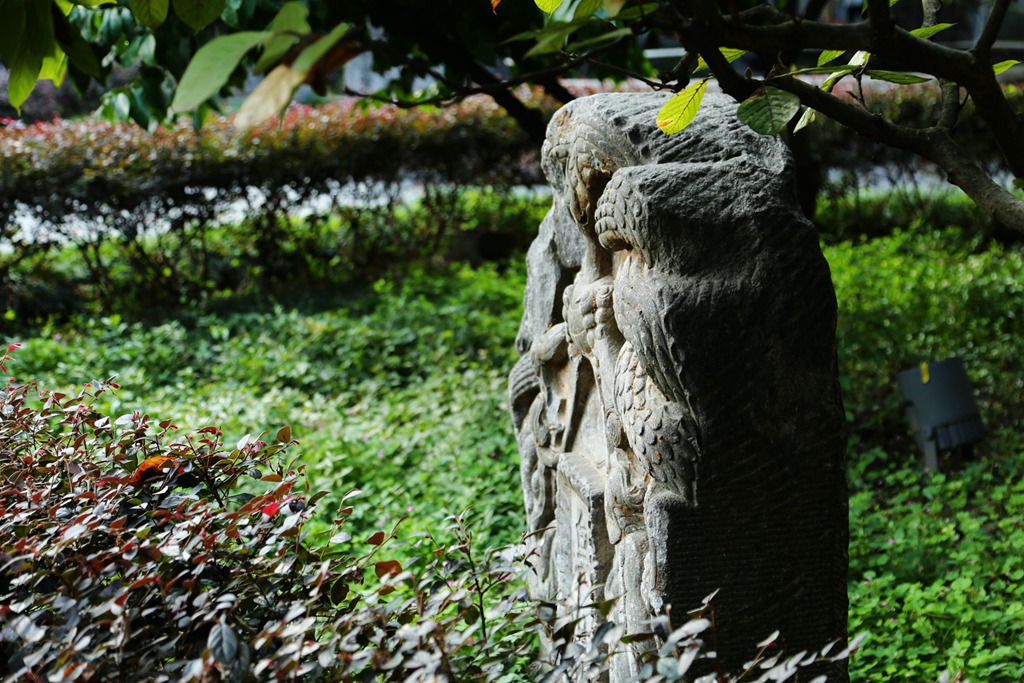 img_8129__.jpg