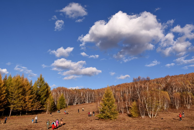dsc_0615.jpg
