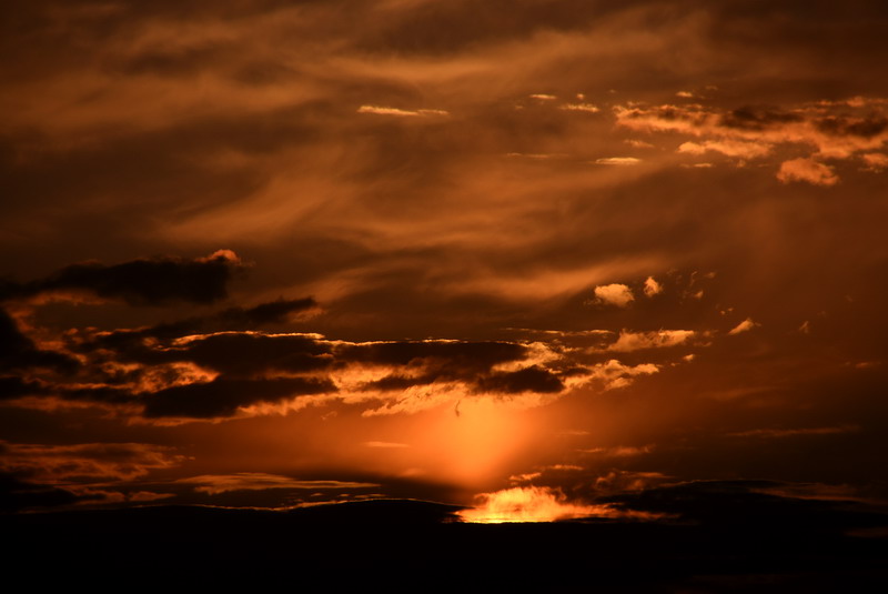dsc_0687.jpg