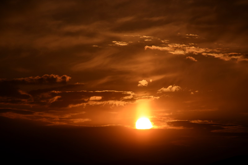 dsc_0708.jpg